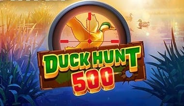 Duck Hunt 500